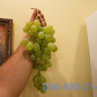 Антоний Великий 