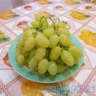 Долгожданный 