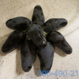 Памяти Негруля