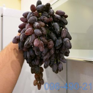 Памяти Негруля