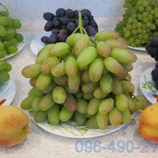Разные сорта