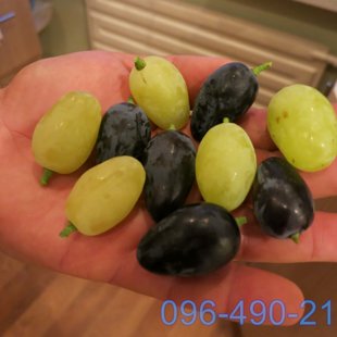 Разные сорта