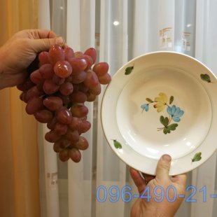 София